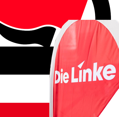 Definition Linkshirnverwirrt; Akteure, die sich als links verstehen, jedoch mit autoritären, strukturell rechten Handlungsmustern agieren.