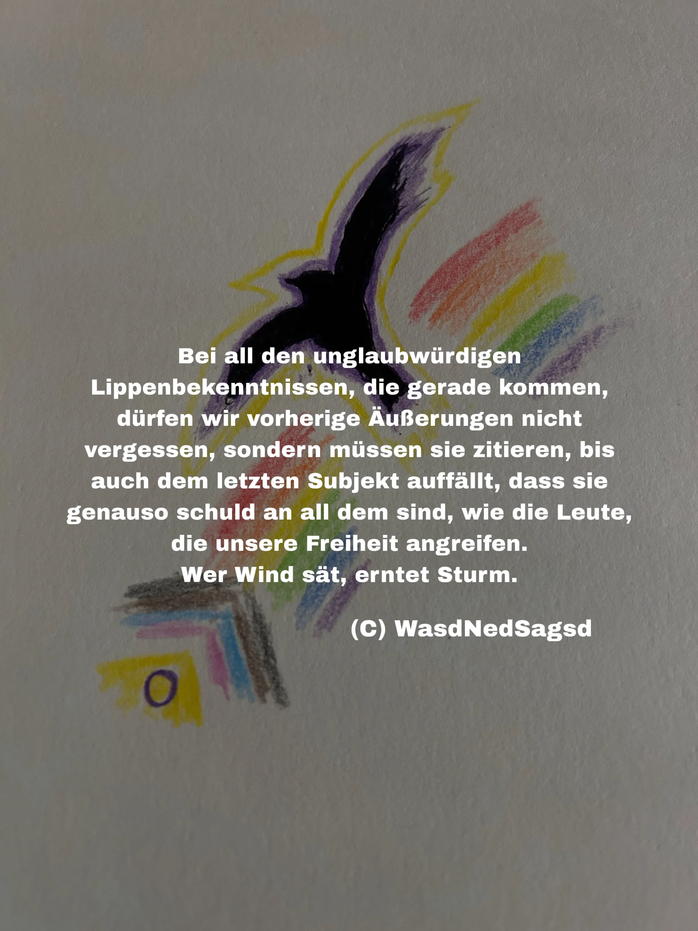 Ein schwarzer Vogel, der in die Farben der nicht binären Pride Flag eingehüllt ist, fliegt aus einer zerstückelten progressiven PrideFlag empor und steigt auf.
Darüber gelegt der Text: Bei all den unglaubwürdigen Lippenbekenntnissen, die gerade kommen, dürfen wir vorherige Äußerungen nicht vergessen, sondern müssen sie zitieren, bis auch dem letzten Subjekt auffällt, dass sie genauso schuld an all dem sind, wie die Leute, die unsere Freiheit angreifen.
Wer Wind sät, erntet Sturm.
Außerdem ein Copyright-Zeichen von WasdNedSagsd